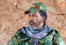 Somali President orders military to retake Adan Yabal town after strategic setback