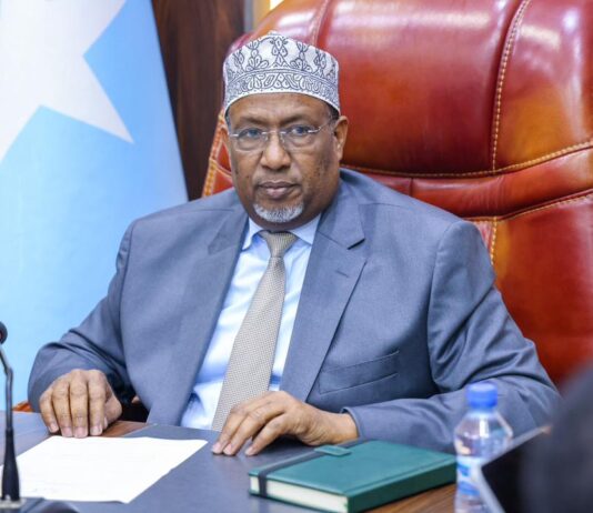 South West State Says Forces Repelled Al-Shabaab Attack on Baidoa