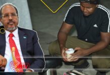 Ex-Student of Somali President Sells Tea on Mogadishu Beach After Job Struggles