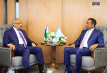Somalia’s Foreign Minister Holds Key Bilateral Talks with Djibouti and Algeria Counterparts