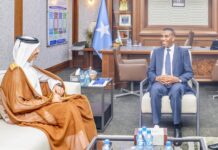 Somalia, Qatar Discuss Boosting Bilateral Cooperation and Development Support