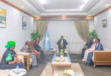 Somalia PM Meets Acting AU Envoy to Strengthen Security Cooperation