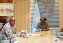 Somali President Meets US Military Commander to Discuss Al-Shabaab Fight