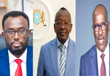 Corruption-Tainted Director General of Environment Ministry Sacked by Somali Prime Minister