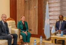 Somali president meets UK FCDO Africa chief to deepen security, political cooperation