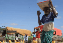 Somali government under fire over ‘humiliating’ aid delivery to anti-Shabaab fighters in Hiiraan