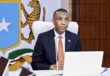Somalia Cabinet Reviews Security, PM Travels to Djibouti for Official Visit