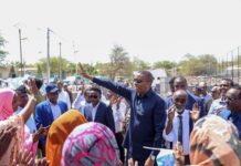 Somali PM Visits Historic Djibouti Town of Carta, Hails Role in 2000 Peace Conference