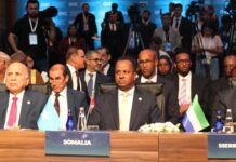 Somalia Attends OIC Foreign Ministers’ Meeting in Istanbul Amid Israel-Iran Tensions