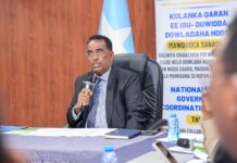 Somalia Opens National Meeting to Strengthen Local Governance and Service Delivery