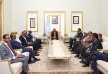 Somali president, opposition agree on key agenda as talks adjourn until July 3