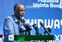 Prof. Diini oo Eedeyn Culus U Jeediyey Dowladda Federaalka Soomaaliya