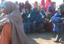 People Return to Sabiid and Caanoole as Somali Forces Secure Areas
