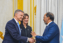 Somali president, EU delegation discuss strengthening ties in Mogadishu