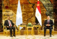 President Hassan Sheikh asks Egypt to speed up troop deployment to Somalia