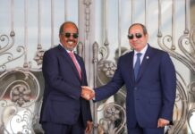 Somali, Egyptian presidents pledge deeper ties in Al-Alamein meeting