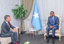 Somali PM, Swiss Ambassador Discuss Stronger Ties and Development Support