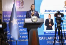 Somali Prime Minister Calls on Diaspora to Back Military, Elections