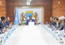 Somalia Approves Visa Waiver Deal With Indonesia for Diplomatic, Service Passports