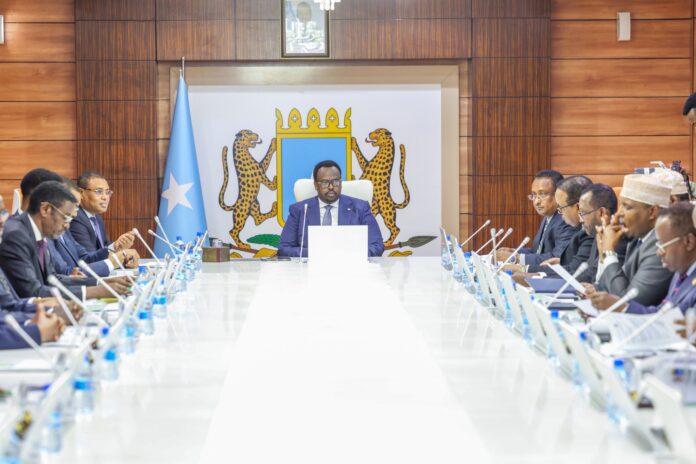 Somalia Approves Visa Waiver Deal With Indonesia for Diplomatic, Service Passports