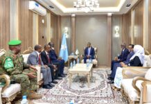 Somali PM Meets AU Special Representative Amid Ongoing Security Transition