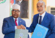 Somalia, Djibouti sign troop deployment deal