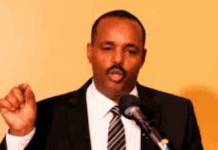 Former MP accuses Somali president of fueling Gedo conflict