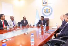 Somalia, Iraq Discuss Security Cooperation During Mogadishu Talks