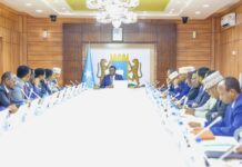 Somali Cabinet Passes Mining, Employment Laws Amid Ongoing Anti-Militant Push