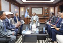 Somali PM Hamza Abdi Barre Launches Ministerial Accountability Process