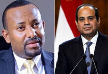 Tensions Rise Between Egypt and Ethiopia Over Military Presence in Somalia