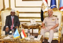 Egypt, Somalia discuss strengthening military partnership, African security