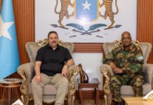 Egypt Finalizes Troop Deployment Plan to Somalia
