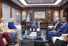 Somali PM meets new EU ambassador to strengthen bilateral ties