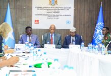 Somali Defence, Security Ministers Approve National Plan to Counter IED Threats