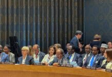 Somali president urges global AI regulations at UN Security Council debate