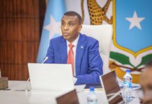 Somalia Cabinet Approves Key Legal Reforms to Boost Public Services and Security