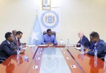 Somali Security Minister, UN Envoy Discuss Enhanced Cooperation and Capital Stability