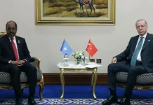 Erdogan urges tougher sanctions on Israel in talks with Somali president