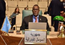 Danjiraha Soomaaliya ee Masar oo ku tilmaamay cafinta deynta xubinnimada “guul taariikhi ah”