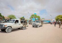 Rising Death Toll After Al-Shabaab Assault on Ceeldheer Town