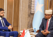 Somalia, Türkiye deepen defence ties in high-level meeting