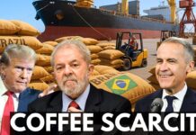 Brazil’s instant coffee exports to U.S. drop 60 pct due to Trump tariffs