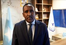 Somali immigration agency ‘working very hard’ to fight extremism, cooperating with foreign partners