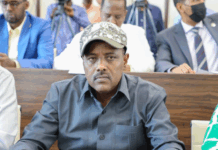 Somali MP admits ordering brother’s arrest over criticism of President Hassan Sheikh