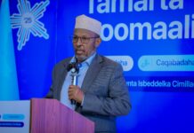 Energy access, renewable transition top the agenda at Somalia Success Stories Forum