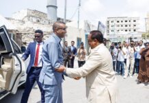 Somalia PM Launches Reopening of 52 Roads in Mogadishu After Years of Security Closures
