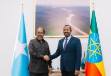 Somali President Holds Talks with Ethiopian PM to Bolster Bilateral Ties, Regional Stability