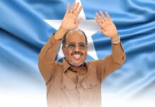 Somali President Hassan Sheikh Mohamud Sends National Flag Day Greetings to Citizens