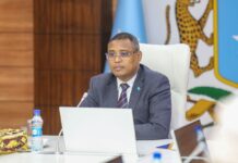 Somalia’s Cabinet Approves Three Education and Research Agreements
